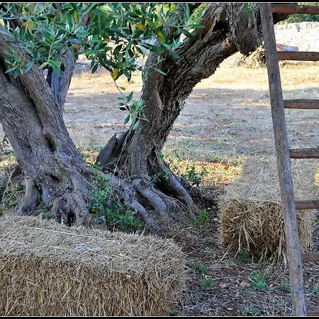 Trulli Piccoli By Raro Villas * Locorotondo