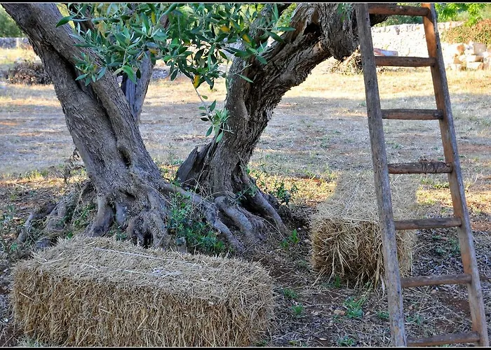 Trulli Piccoli By Raro Villas * 洛科罗通多
